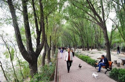 ウオーキングだけでポイントに、中国の歩行計アプリ 一部は投資誘導も