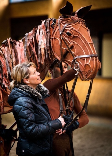 「戦火の馬」のジョーイ、馬場馬術五輪メダリストと対面