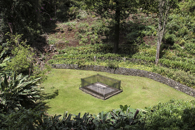 ナポレオン、流刑地でも豪華な食生活 セントヘレナ島