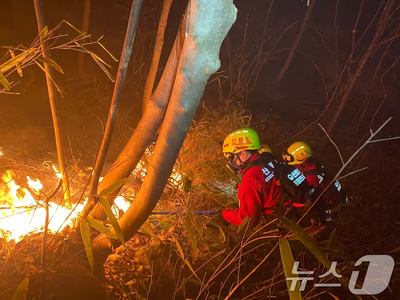 韓国・山火事で26人死亡…重軽傷30人