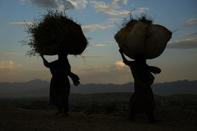 【今日の1枚】草かんむり？ 大きな頭のシルエット