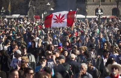 カナダ 嗜好品の大麻を来夏合法化へ 法案発表 世界2か国目 写真1枚 国際ニュース Afpbb News