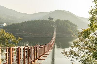 秋夕連休、坡州日帰り…馬場湖のつり橋・栗谷湿地公園・知恵の森 – KOREA WAVE