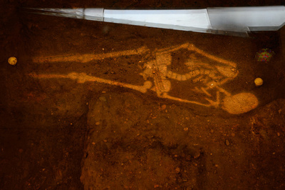 リチャード3世の骨、DNA鑑定で非嫡出子の謎浮上