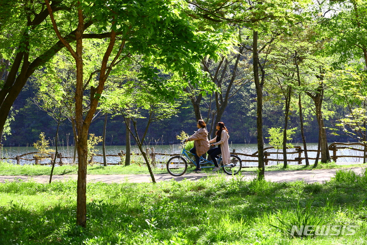 南怡島の風景(c)NEWSIS