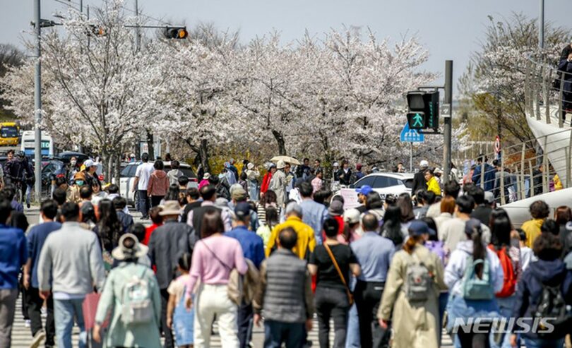 ソウル・麻浦（マポ）大橋近くの交差点が汝矣島（ヨイド）の春の花祭りを訪れた市民でにぎわっている(c)NEWSIS