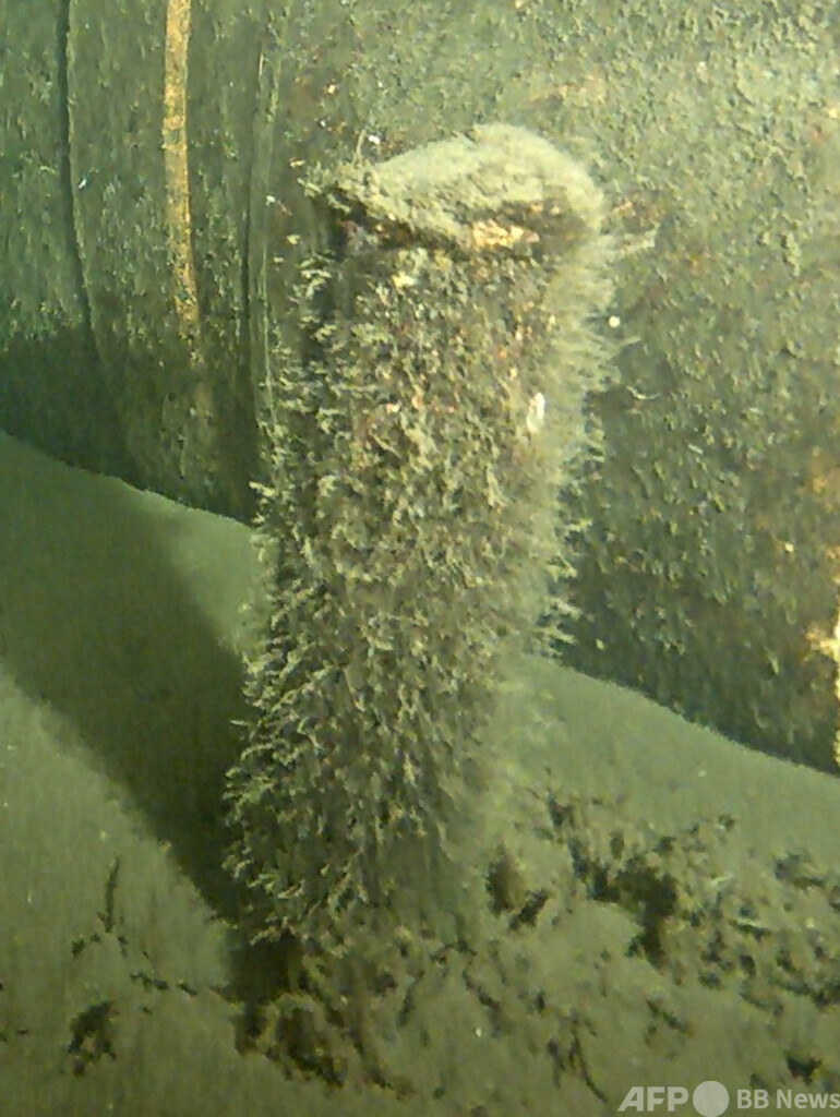 ノルドストリーム付近に謎の物体 デンマークが引き揚げへ