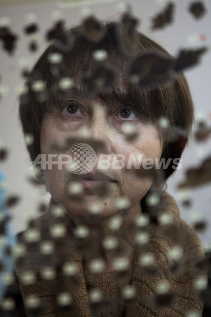 死海文書をセロハンテープから救出、女性4人が奮闘 イスラエル