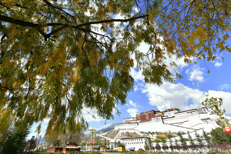 中国・チベットのポタラ宮、1000点近い貴重なタンカをデジタル化