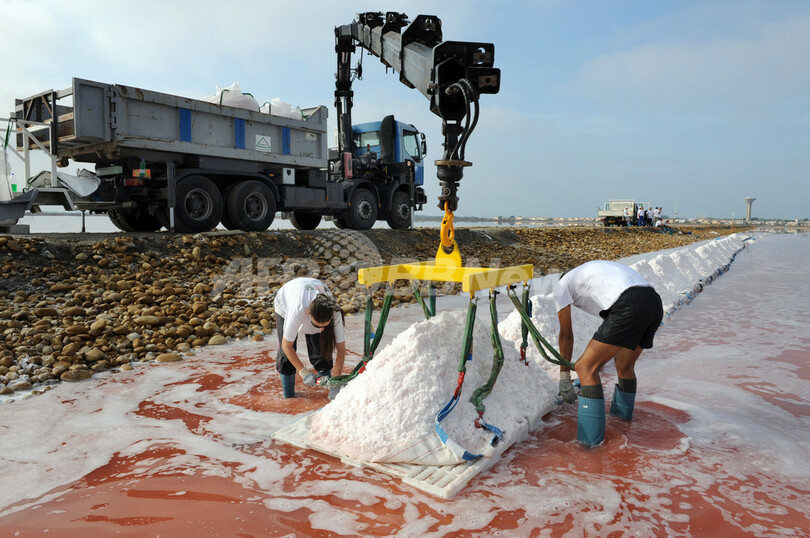 南仏の塩田で「塩の花」の収穫