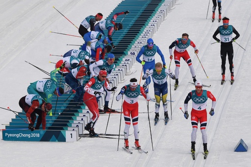 FISCHER クロスカントリースキー（スケーティング用）195cm FISCHER