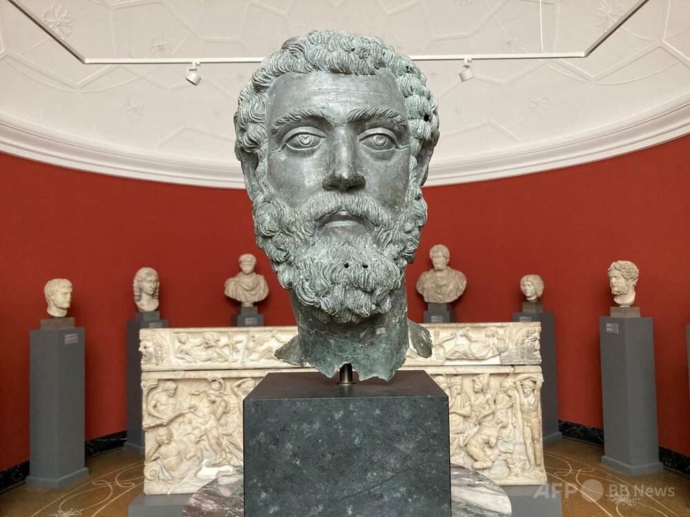 デンマーク、古代のブロンズ像の頭部をトルコに返還へ 写真2枚 国際