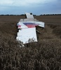 ウクライナ東部のシャフチョルスク（Shaktarsk）近くに墜落したマレーシア航空（Malaysia Airlines）機の残骸（2014年7月17日撮影）。(c)AFP/DOMINIQUE FAGET