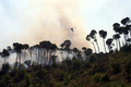 レバノンの首都ベイルート（Beirut）東部郊外アレー（Aley）の山火事で、松林に放水する軍のヘリコプター（2008年7月22日撮影）。(c)AFP/RAMZI HAIDAR