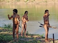 ブラジル国立先住民保護財団（National Indian Foundation、FUNAI）が公開した、ペルーと国境を接するアクレ（Acre）州を流れるエンビラ川（Envira River）の岸部でアシャニンカ（Ashaninka）の人たちと接触した先住民の姿を捉えた映像（2014年7月30日公開）。(c)AFP/FUNAI/HO