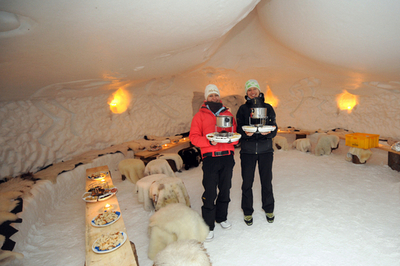 超クール！スロベニアの氷のホテル