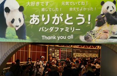 和歌山県のパンダ4頭が中国へ 返還前に別れ惜しむ人々