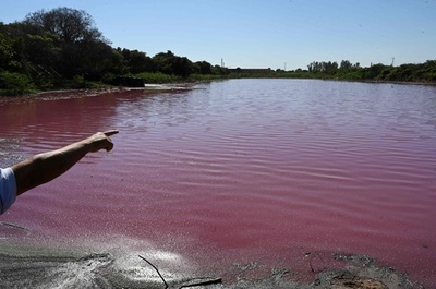 湖がピンク色に…原因は皮なめし工場か パラグアイ