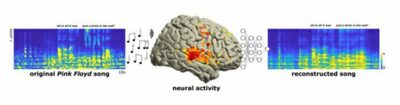 ピンク・フロイドの音楽を聴かせたら…AIが脳信号分析、歌を再構成した！