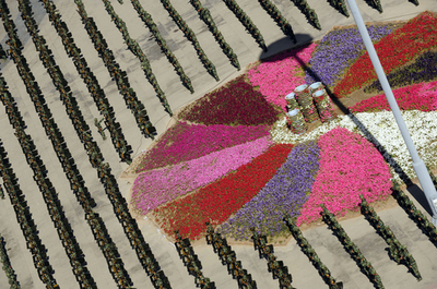 ウイグル暴動の死者184人と国営メディア、自治区内は一部報道規制も