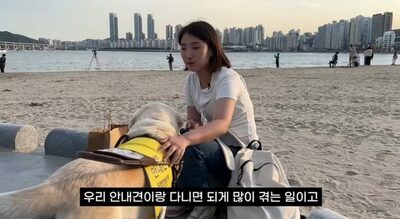 海が見えるはずの席が「犬がいるからダメ」と“倉庫横”…韓国・盲導犬同伴の旅行客に起きた差別