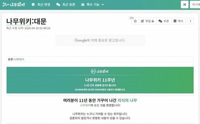 韓国・選挙前に「ナムウィキ」排除論…ポータル責任めぐり議論