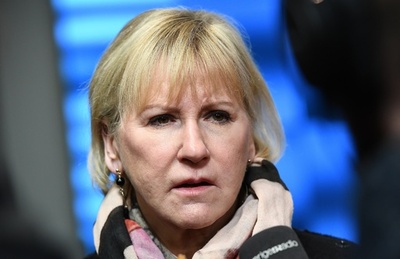 セクハラは「政治の最高レベルでも」、スウェーデン外相が被害告白