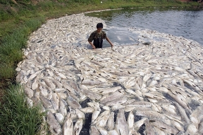出生異常の増加、環境汚染が強力に影響 中国各紙