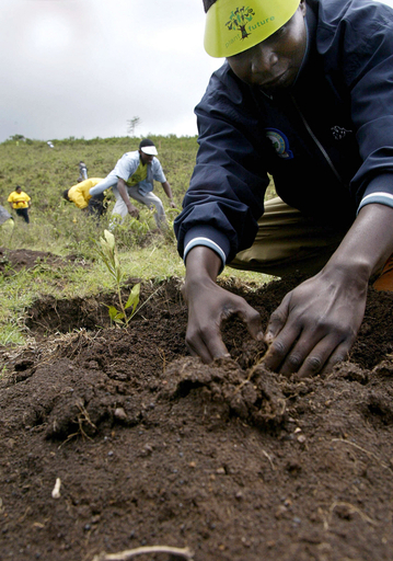 ひと足早いアースデイ、1000本の植林を実施 - ケニア