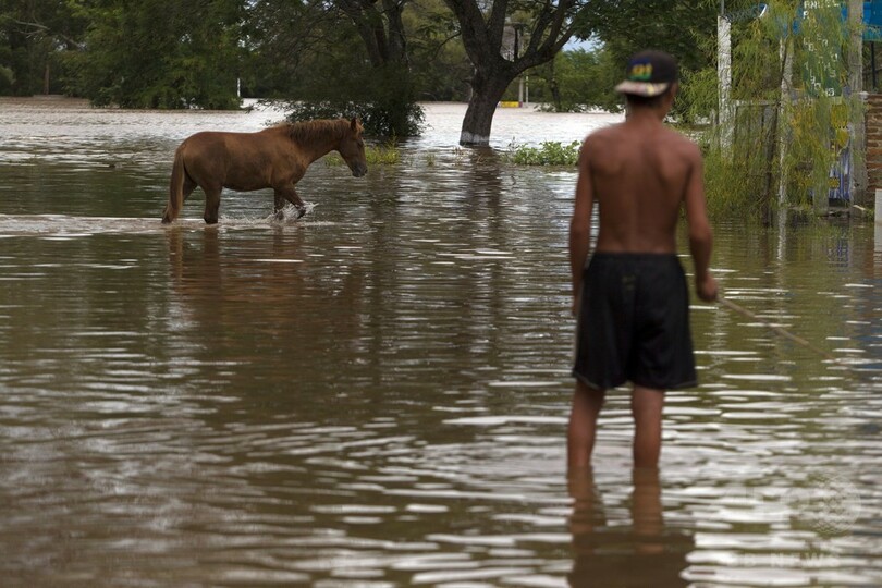 毒ヘビ漂着でビーチ閉鎖、洪水で多数流入 アルゼンチン北部