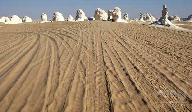 「愛してる」エジプト誤爆で死亡のメキシコ人、妻への最後の言葉