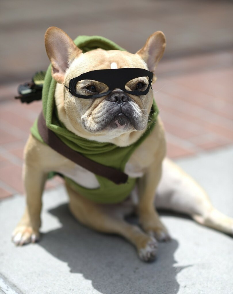 「コミコン」にコスプレイヤー続々、米サンディエゴ