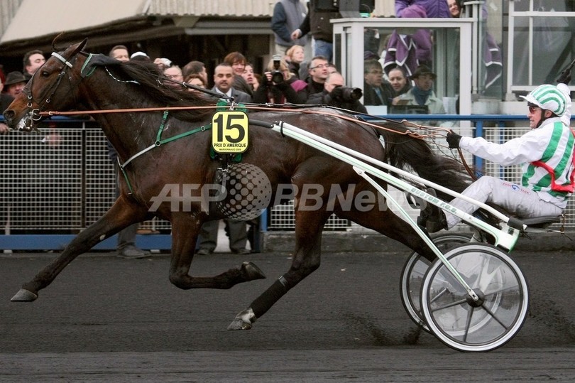 100%天然の肥料はいかが?優勝馬の馬ふんを配布へ フランス 100%天然の肥料はいかが?優勝馬の馬ふんを配布へ フランス