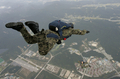 韓国・鶏龍（Gyeryong）の陸海空軍本部で前月29日、1日に61年を迎える「国軍の日（Armed Forces Day）」に向けたリハーサルが行われた。1950年～53年の朝鮮戦争で、韓国は1953年、北朝鮮と休戦協定を結んだが、法的には戦争状態にある。

写真は、鶏龍の陸海空軍本部で実施された「国軍の日」に向けた軍事演習で、上空のヘリコプターからパラシュート降下する韓国軍特殊部隊兵士（2009年9月29日撮影）。(c)AFP/JO YONG-HAK