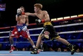 ボクシング、WBO世界スーパーフライ級タイトルマッチ。アントニオ・ニエベス（右）にパンチを打ち込む井上尚弥（2017年9月9日撮影）。(c)AFP/Getty Images/Jeff Gross