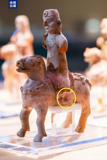 中国南京で三国時代の武将の墓から世界最古の鐙を発見 写真1枚 国際