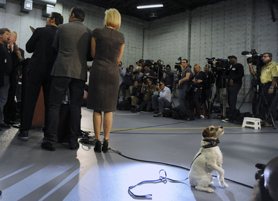 無声映画『アーティスト』に新たな栄誉