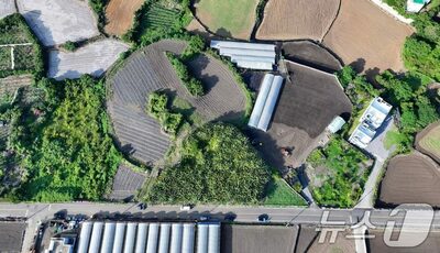 韓国・済州の女性失踪、初動捜索から場所を誤る…遺体発見現場と1キロ以上離れる