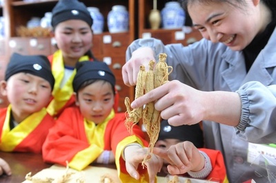 子どもたちが中国の伝統医学を体験 安徽で「国医節」のイベント