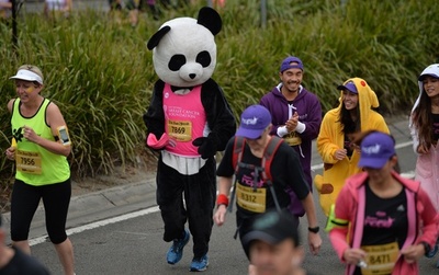 仮装もOK、シドニーで毎年恒例のチャリティーランニング