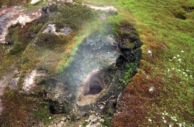 氷河期の生物、火山の熱で生き延びた可能性 国際研究