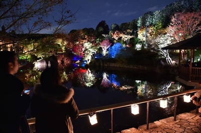目白庭園の紅葉、幻想的にライトアップ