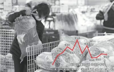 韓国・白菜の価格は下がったのに…なぜキムチの値段は下がらないのか