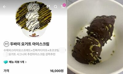 広告写真は「おいしそう」、でも届いたのは「全く違う」アイスだった…韓国「写真詐欺」批判
