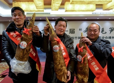 目指せ「冬のタケノコ王」　中国有数の産地・浙江省で決定戦