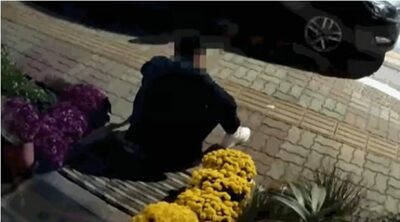 韓国・失われたマナー…防犯カメラが捉えた「酔って花をむしり食べる男性」