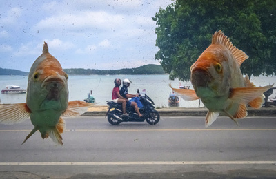 【今日の1枚】魚が空中を泳ぐタイのビーチ