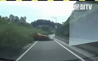 鹿か？草むらから飛び出す赤い悪夢…韓国「朝の酒気残り」車が暴走の衝撃映像
