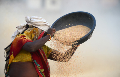 【PR】インドの農業を変革する</br>―持続可能な成長のため、ICTで2億人超の農家を豊かに―