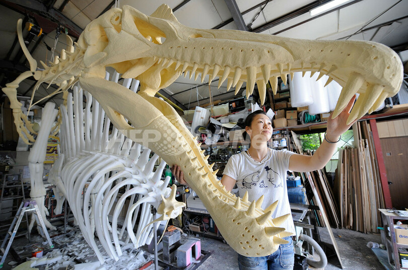 肉食恐竜スピノサウルスの骨格、「恐竜2009」で再現 写真8枚 国際 